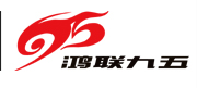 廣東鴻聯(lián)九五信息產(chǎn)業(yè)有限公司